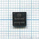 NCPE81206
