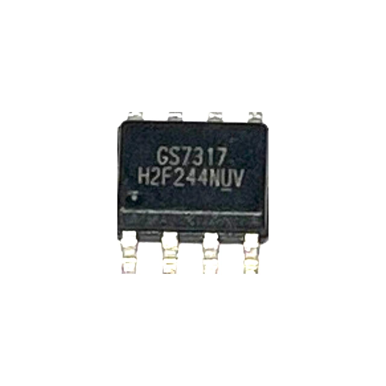 GS7317